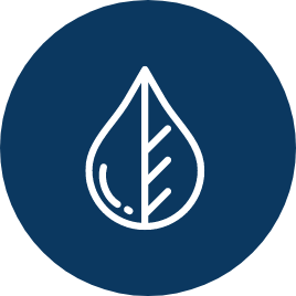 GSES System Platform