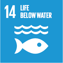SDG 14